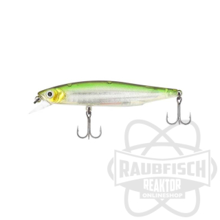 CU-359 Shining Minnow